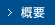 概要