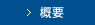 概要