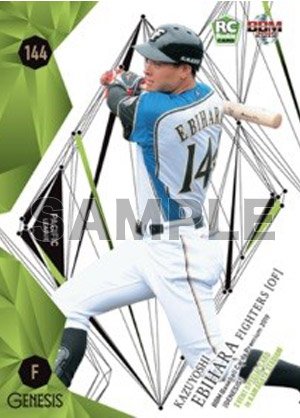 海老原一佳外野手(144)