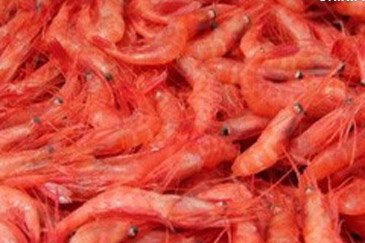 甘エビ炭火焼き