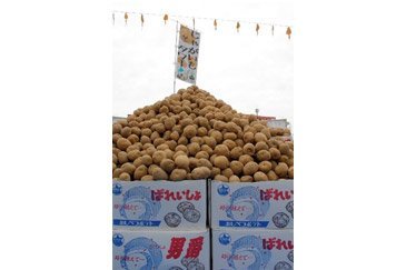 じゃがいも詰め放題参加キャンペーン2