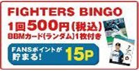 FIGTERS BINGO
