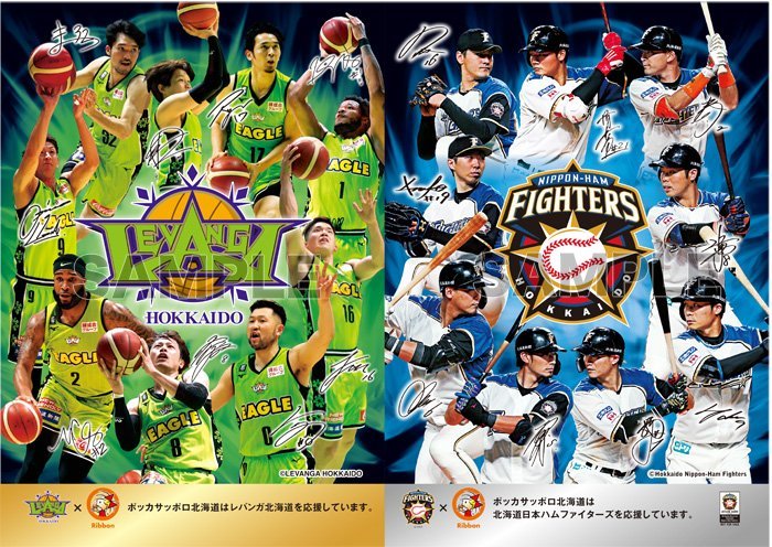 ファイターズ×レバンガ クリアファイル