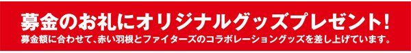赤い羽根共同募金オリジナルグッズ