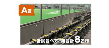 フィールドシートペアチケット(3塁側)