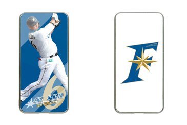 両面ガラスバッテリー