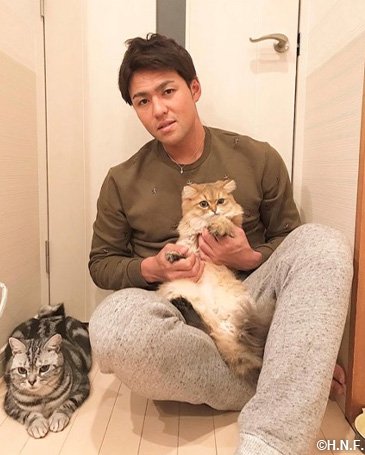 愛猫家の木村選手
