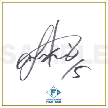 選手直筆サイン色紙