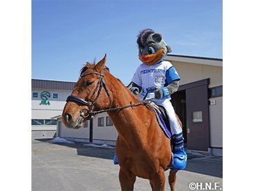 B・Bみらい大志 浦河町ツアーイメージ01