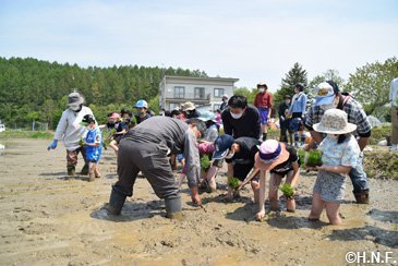 「ななつぼし」の田植え02