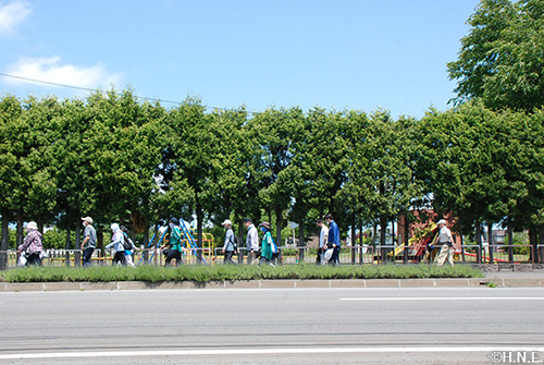 ウォーキングの様子08