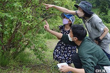 ハスカップの収穫体験会01