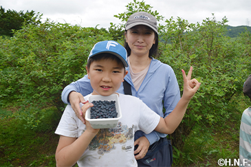 ハスカップの収穫体験会03