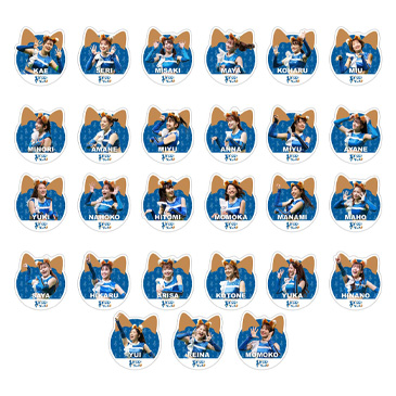 カットステッカー(シークレット)