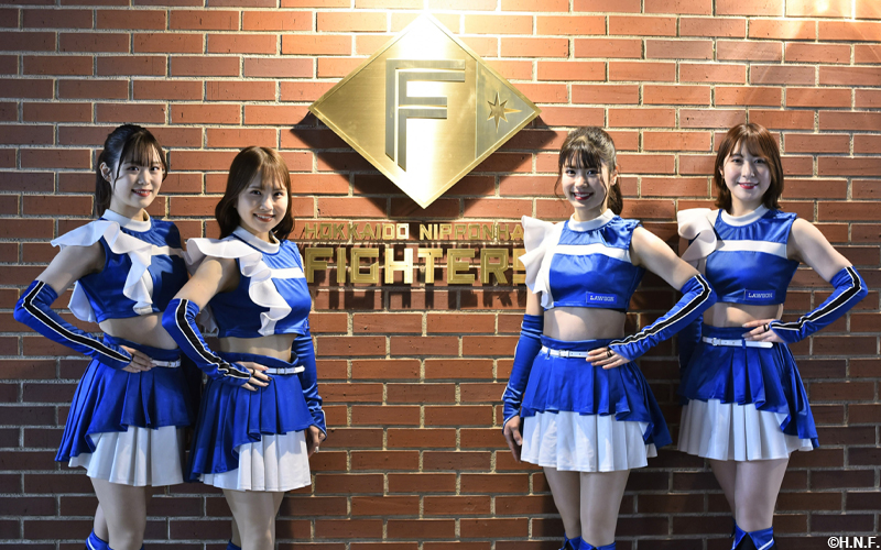 ファイターズガール