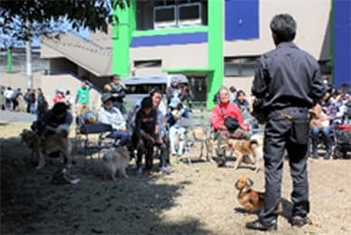 過去の様子 ペット集合