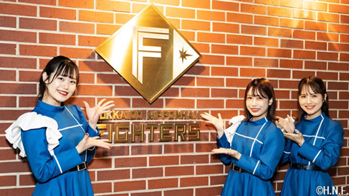 ファイターズガール