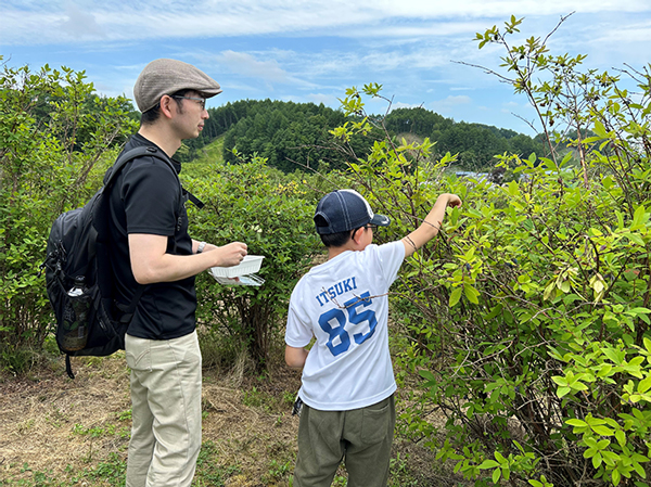 ハスカップ収穫体験①