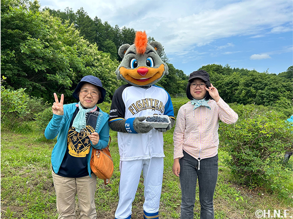 ハスカップ収穫体験②