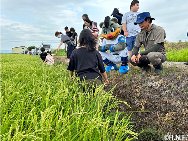 生育観察2(栗山町)