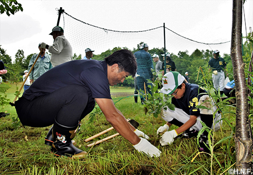 栗の樹ファーム1