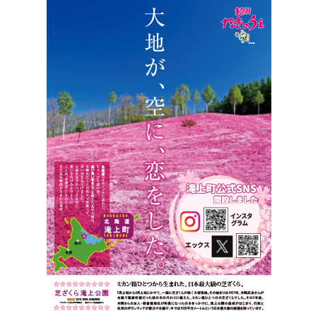 観光パンフレット