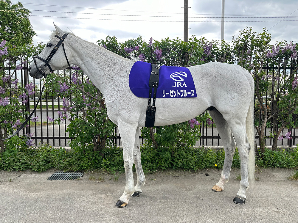 リーゼントブルース