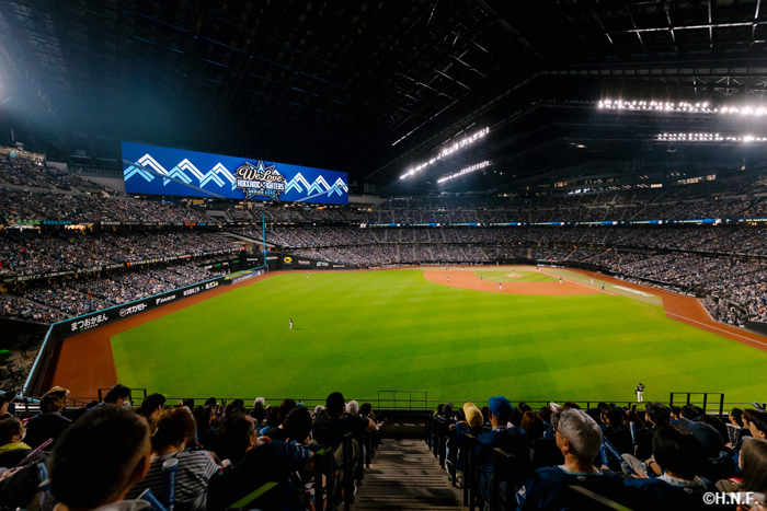 球場全体の様子2