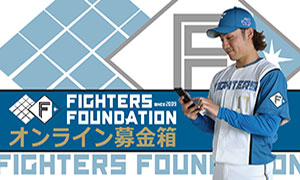 試合日程 結果カレンダー 北海道日本ハムファイターズ