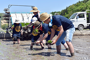 田植え5月25日(土)02