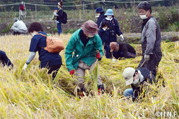 稲刈り10月4日(日)01