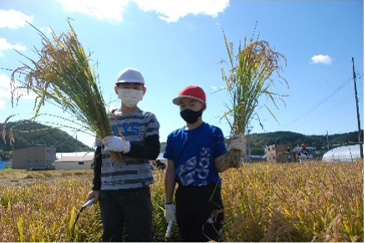 稲刈り体験(上厚真小学校)9月27日(月)01