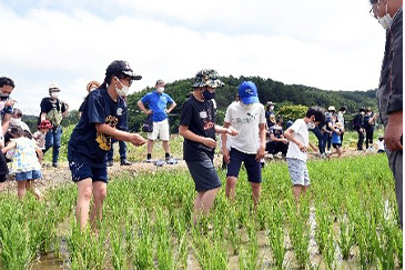 生育観察7月4日(日)02