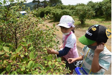 生育観察7月4日(日)03