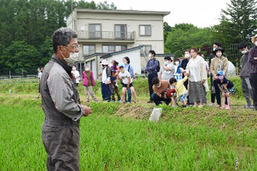 生育観察&ハスカップ収穫体験7月2日(土)01