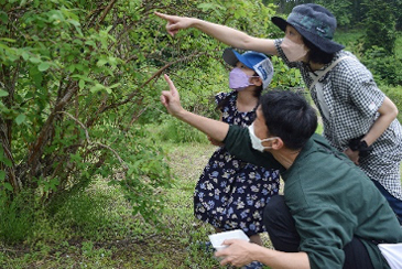 生育観察&ハスカップ収穫体験7月2日(土)03