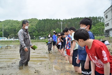 田植え体験（上厚真小学校）5月23日(月)03