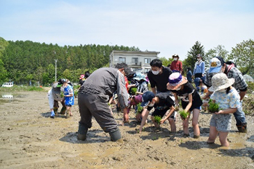 田植え体験5月21日(土)01