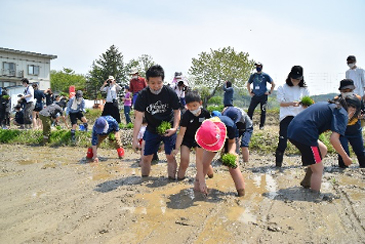 田植え体験5月21日(土)02