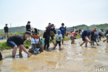 田植え体験5月21日(土)03