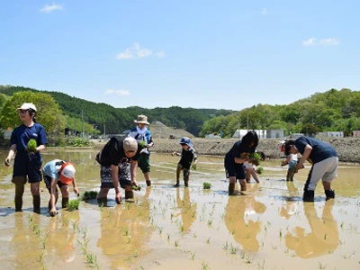 田植えをする参加者の方々 01