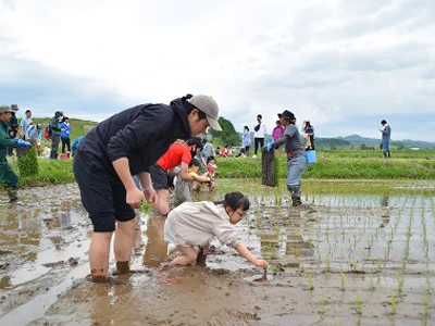 田植えを教えていただく参加者とB・B 02