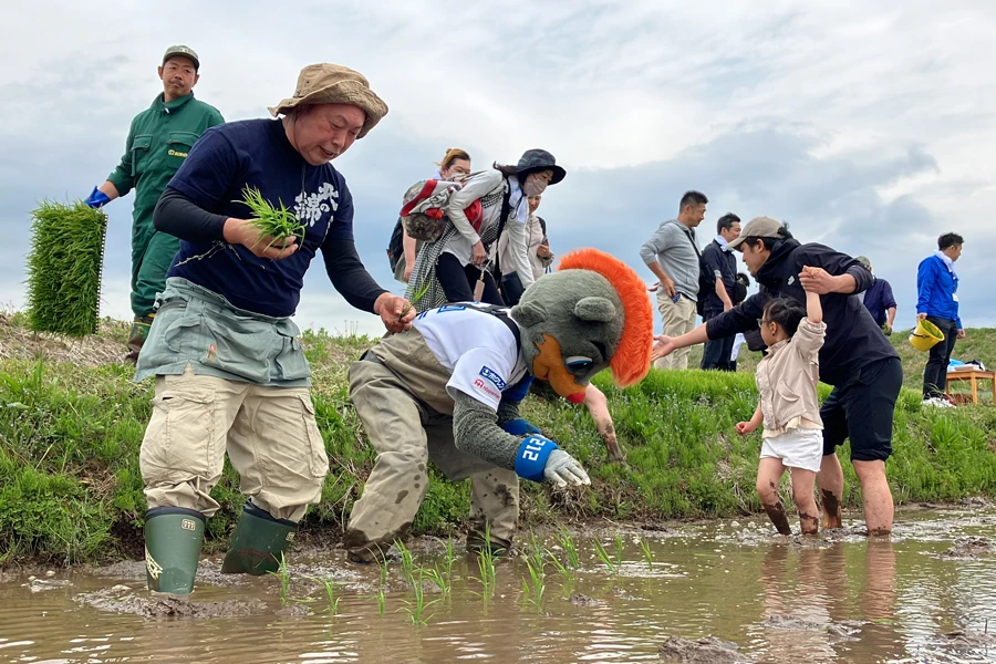 ふぁい田！北海道応援プロジェクト 田植えをするB・B