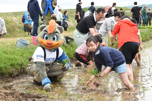 ふぁい田！北海道応援プロジェクト