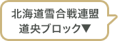 雪合戦