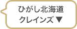 ひがし北海道クレインズ