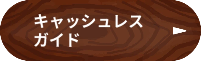 キャッシュレスガイド