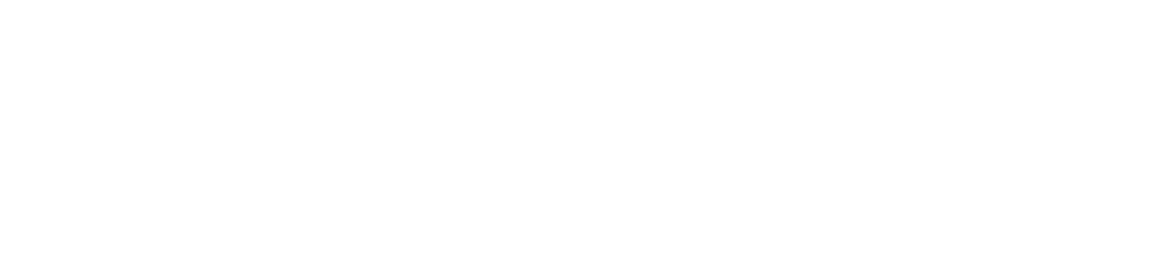 当日の楽しみ方例