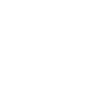 埼玉西武ライオンズ