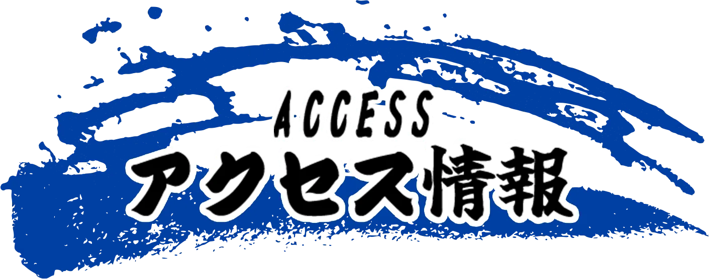 アクセス情報